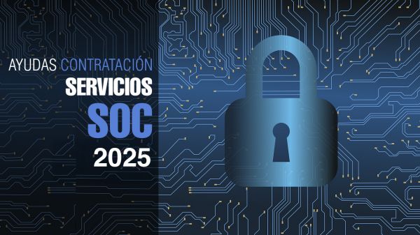 Ayudas Servicios SOC 2025